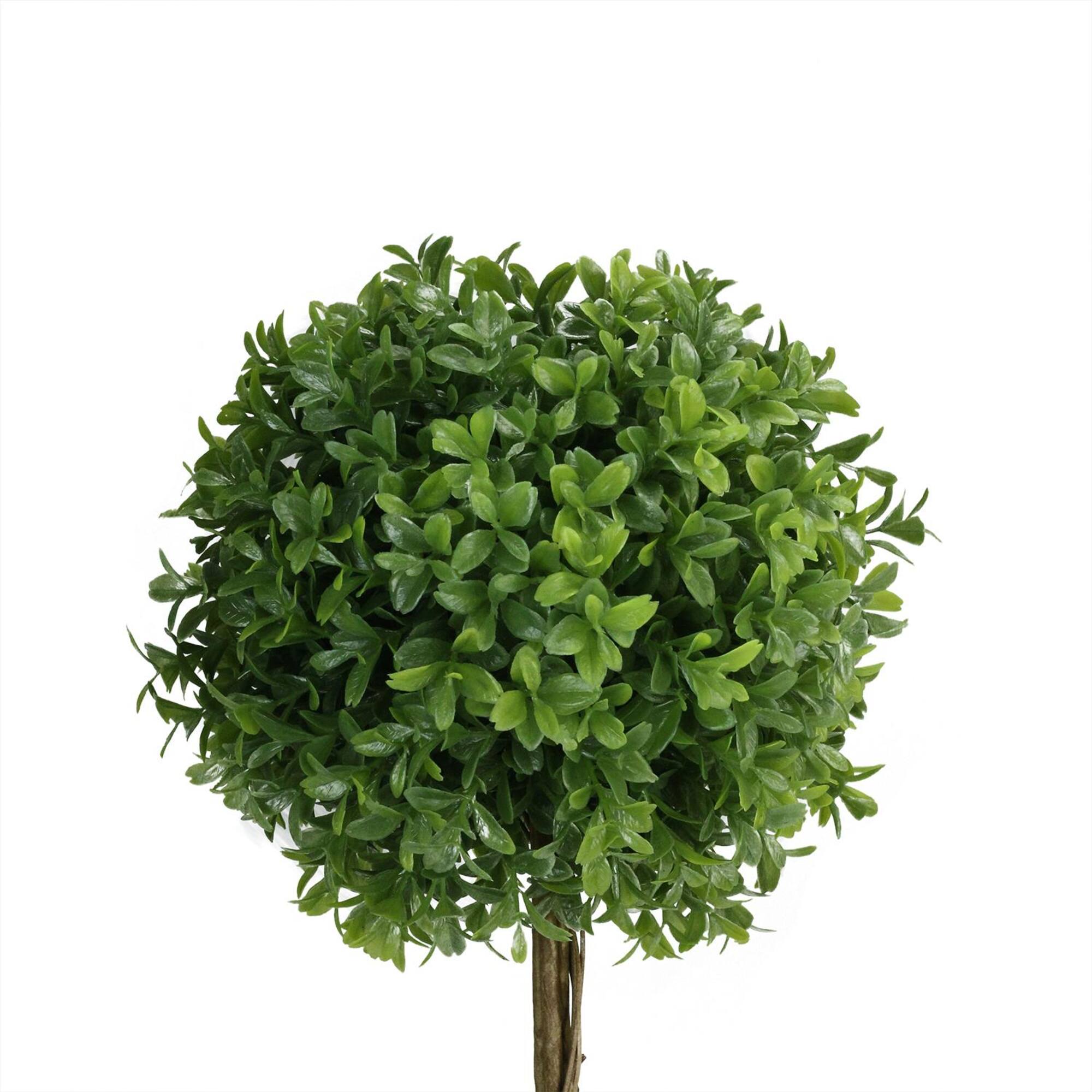 17" Green Artificial Boxwood Topiary in Distressed Paper Mache Pot